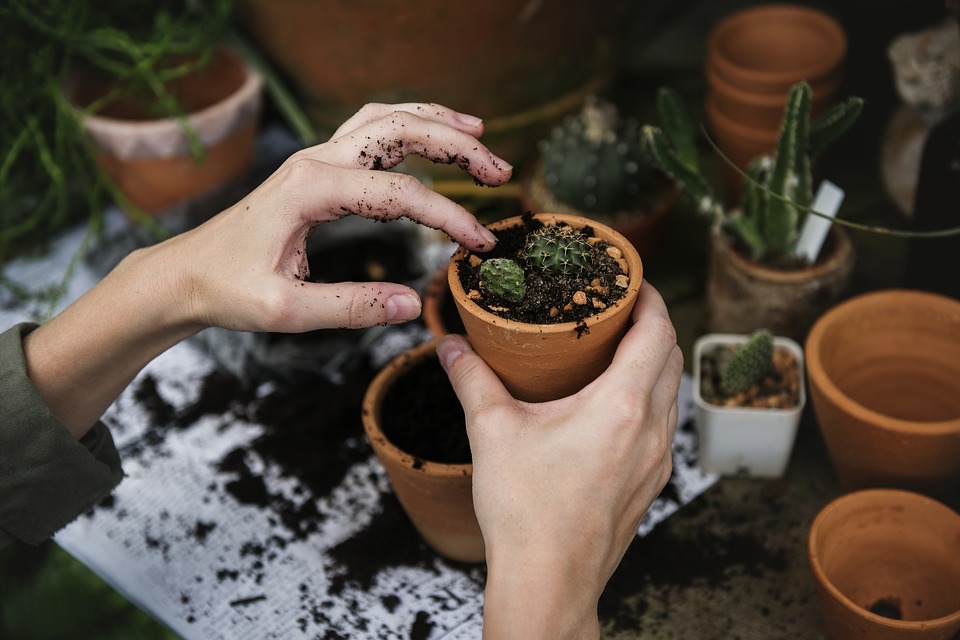 How Gardening Boosts your Health and Well-Being