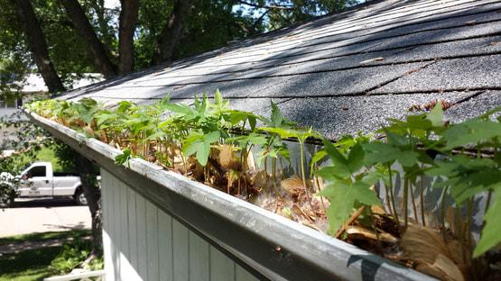 10 Gutter Installation Tips from the Pros