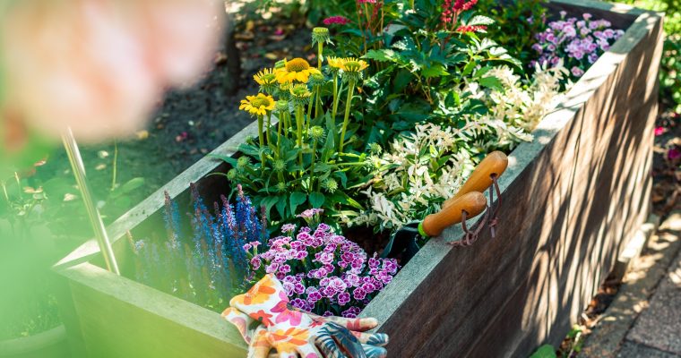 5 Garden Ideas for Healthier Outdoor Spaces