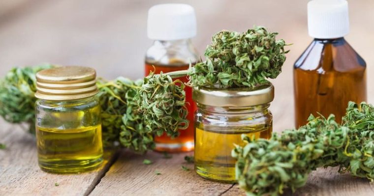 What Are CBD Flowers? Here’s What You Need To Know