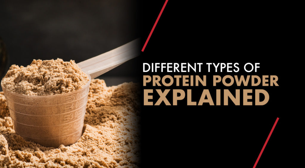 What Are the Types of Protein Powder?