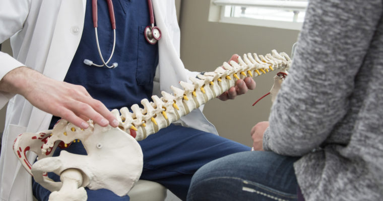 Great Reasons To Follow A College Path In Chiropractic