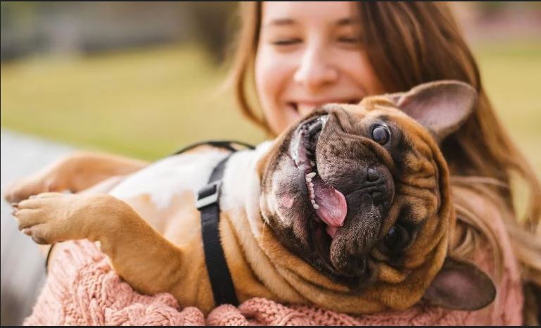 Is This-True Owning a Dog May Help You Live Longer?