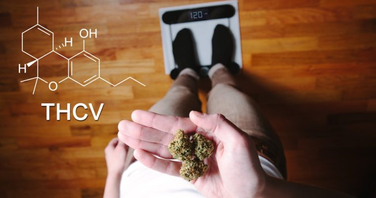 The Advantages of THCV for Health