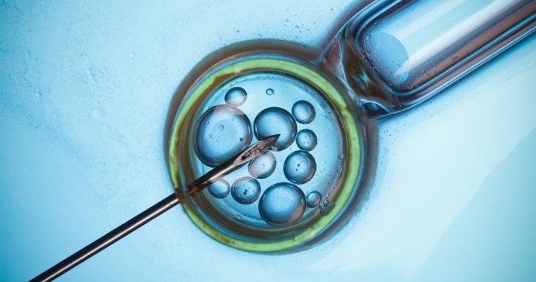 Quick and Handy Facts About IVF You Need to Know