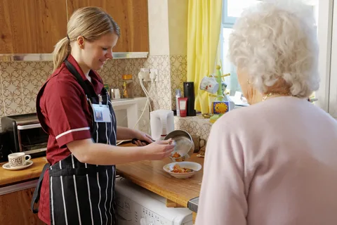 What services do at home carers provide?