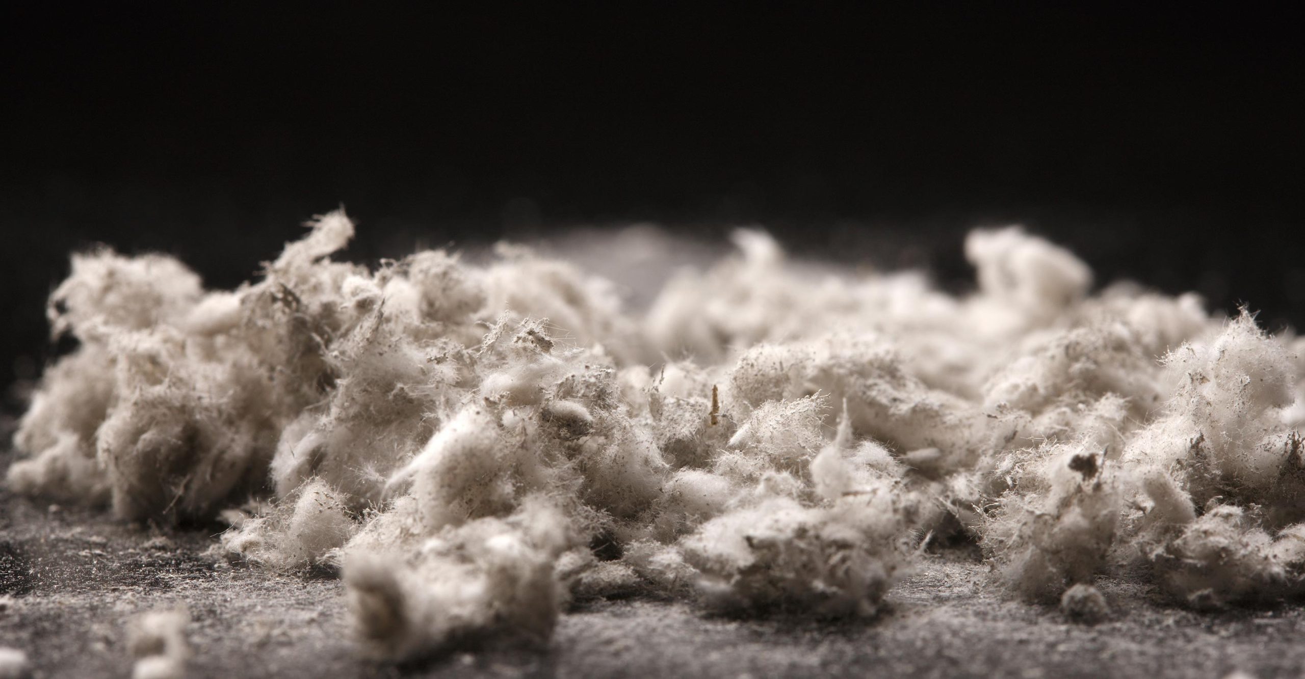 Clearing the Air: Debunking Common Misconceptions About Asbestos
